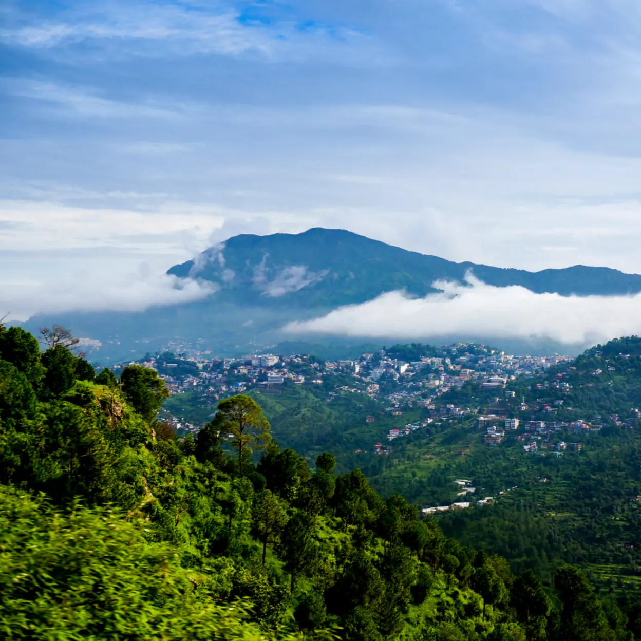 Surat to Saputara Cab - image 2